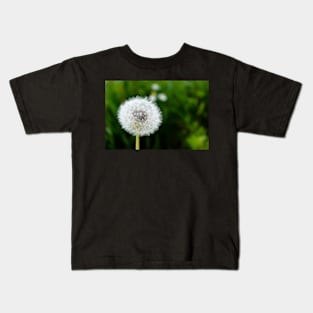 White dandelion head blowball Kids T-Shirt